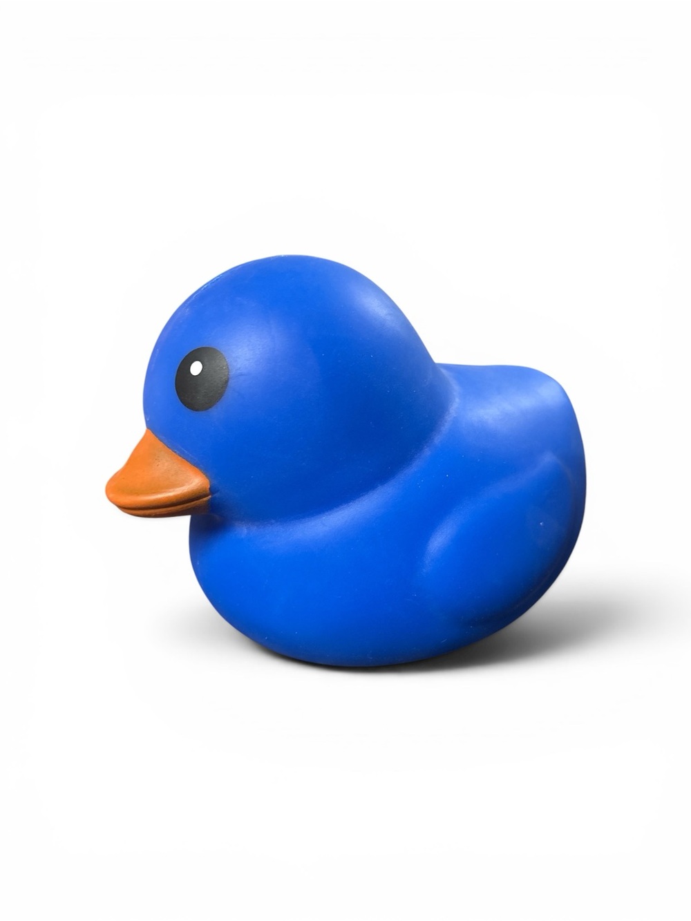 Sunny Days jumbo blue duck squishy, fidget toy Jeep Lover Gift